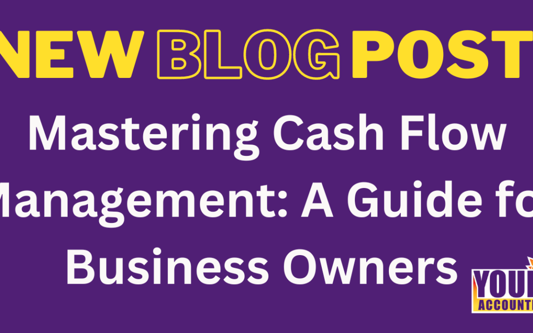 Mastering Cash Flow Management: A Guide for Business Owners